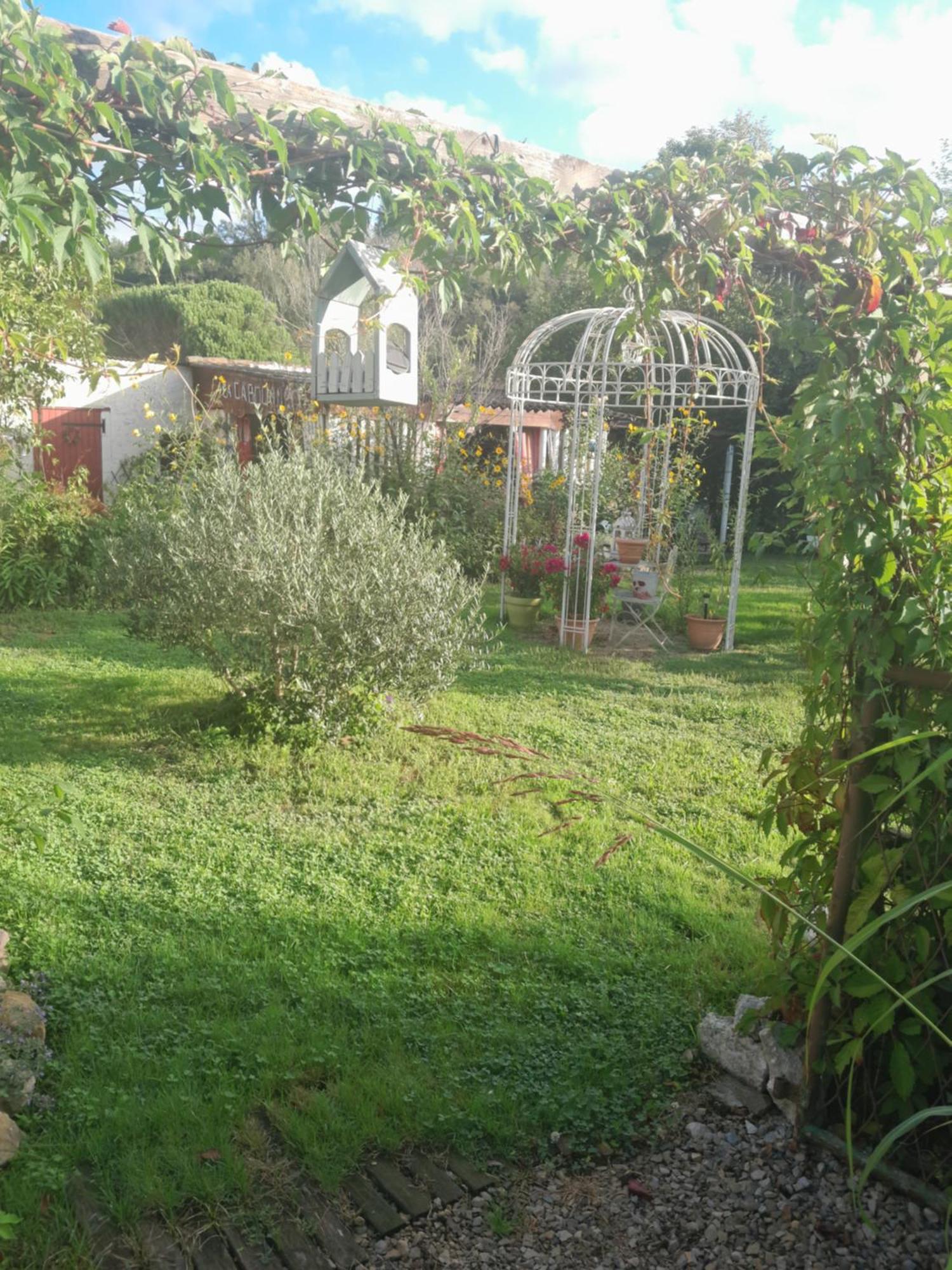 Chambre D'Hote Amitie Et Jardin Carmaux Exterior foto