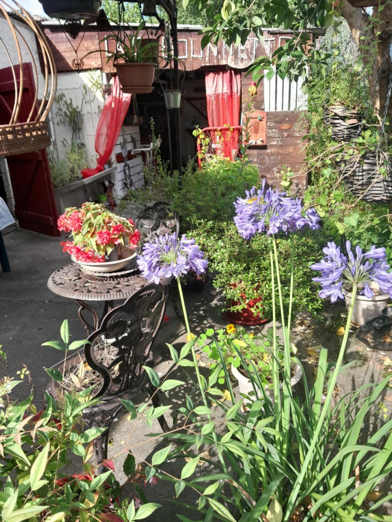 Chambre D'Hote Amitie Et Jardin Carmaux Exterior foto